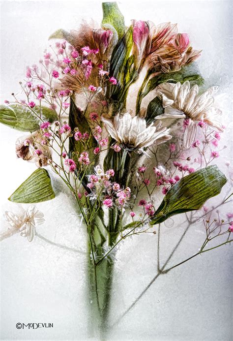 Belleza de flores congeladas_Spanish.china.org.cn_中国最权威的 ...