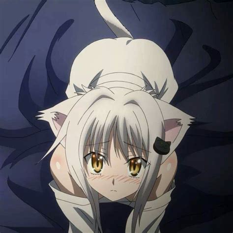 Bender on Twitter:  #nyan #kawaii #highschooldxd #koneko # ...