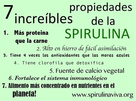 Beneficios alga espirulina spirulina organica mexico ...