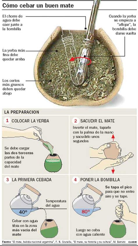 Beneficios curativos de la yerba mate – Huellas para la ...