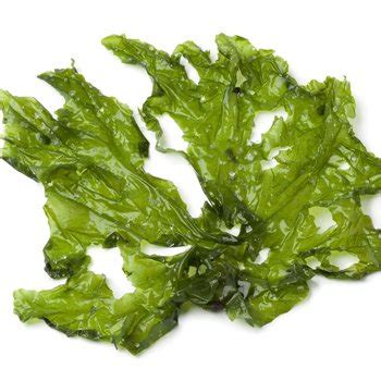 Beneficios de comer algas en el embarazo: fuentes ...