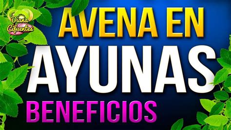 Beneficios De La Avena En Ayunas   Para Que Sirve La Avena ...