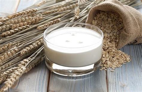 Beneficios de la leche de avena, propiedades y cómo hacerla