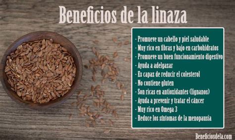 Beneficios de la linaza o semillas de lino para la salud