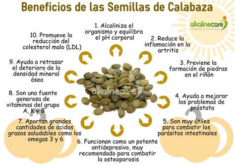 Beneficios de las Semillas de Calabaza | Infografías ...