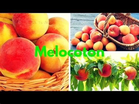 Beneficios del Melocoton para el Cancer   Piel   Diabetes ...
