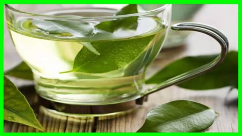 Beneficios del té de Boldo para los Ruidos Estomacales ...