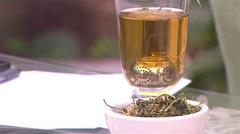 Beneficios del té de sorosí y el té de kombucha | Teletica