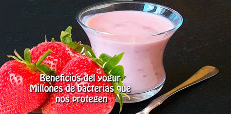 Beneficios del yogur : Millones de bacterias que nos ...