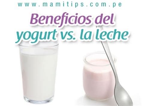 Beneficios del Yogurt vs Leche, entérate !   YouTube