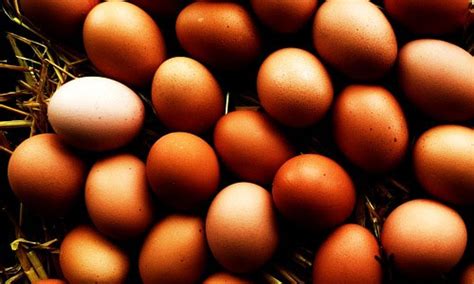 Beneficios para la salud de los huevos   Canal Nutrición.com