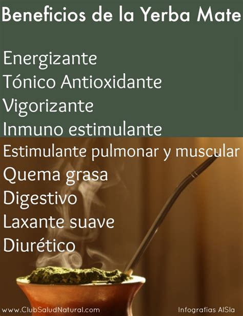 Beneficios y Curiosidades de la Yerba Mate   Club Salud ...