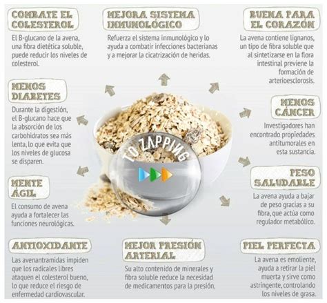 Beneficios Y Propiedades De La Avena   Tozapping.com ...