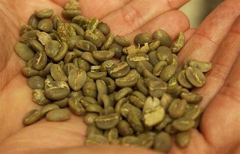Beneficios y propiedades del café verde