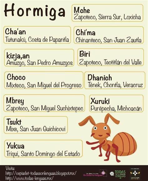 Best 20+ Lenguas indigenas de mexico ideas on Pinterest ...