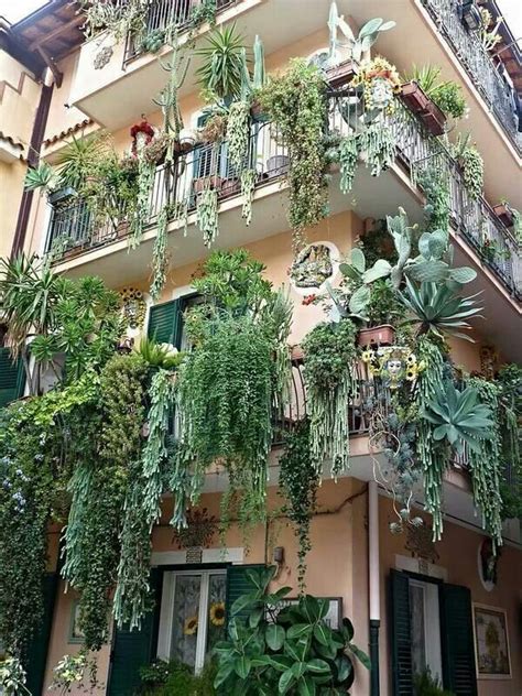 Best 25+ Balcony plants ideas on Pinterest | Balcony ideas ...