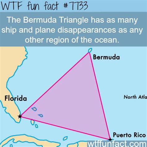 Best 25+ Bermuda triangle facts ideas on Pinterest ...