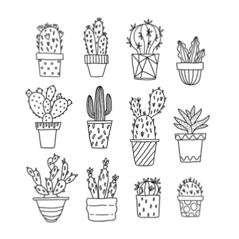 Best 25+ Cactus drawing ideas on Pinterest | Cactus art ...