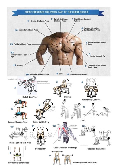 Best 25+ Chest workouts ideas on Pinterest | Arm lift ...