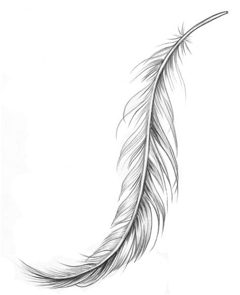 Best 25+ Feather meaning ideas on Pinterest | What is ...