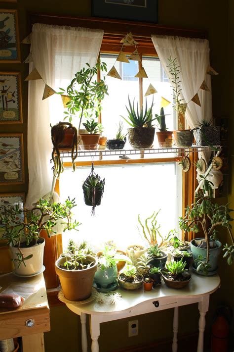 Best 25+ Garden bedroom ideas on Pinterest | Plants indoor ...