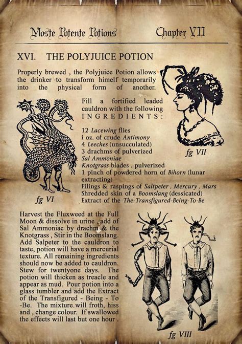 Best 25+ Harry potter potions ideas on Pinterest | Harry ...