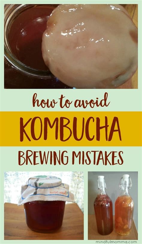 Best 25+ Kombucha ideas on Pinterest | Kombucha recipe ...
