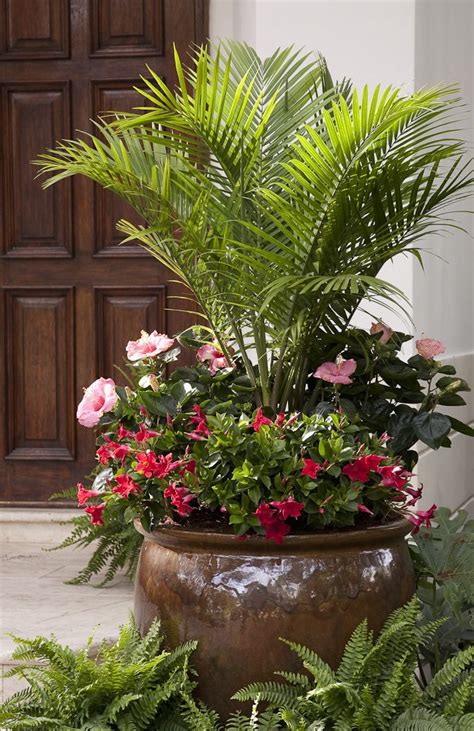 Best 25+ Outdoor potted plants ideas on Pinterest | Potted ...