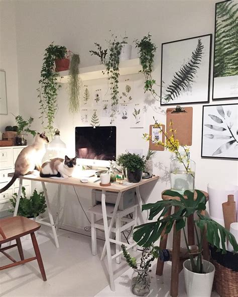 Best 25+ Plants in bedroom ideas on Pinterest