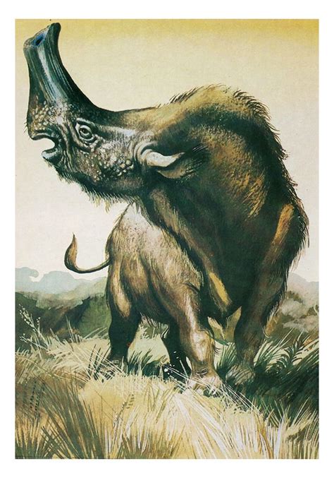 Best 25+ Prehistoric animals ideas on Pinterest ...