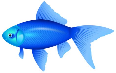 Best Blue Fish Clipart #24751   Clipartion.com