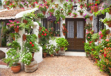Best Flower Bulbs for Mediterranean Gardens in Cool Countries