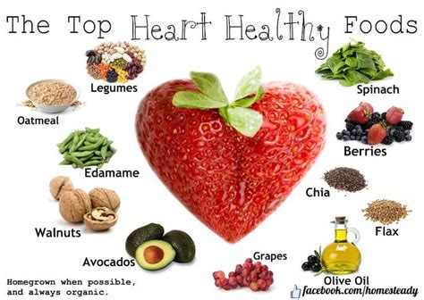 Best Vitamins For Heart Health | Top Vitamins For ...