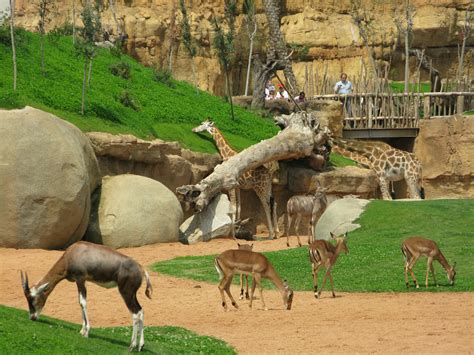 Best Zoos in Europe | Top 10 Page 6 of 10 EALUXE.COM