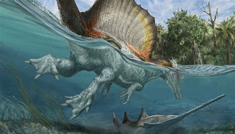 Bigger than T. rex, this dinosaur hunted in water   Futurity