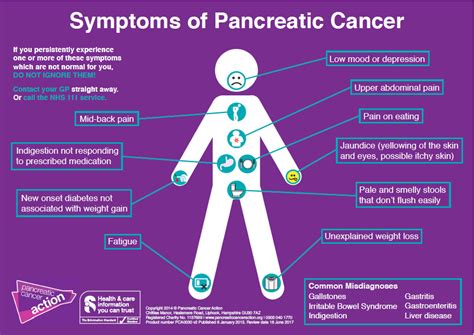 Bile Duct Cancer Life Expectancy Symptoms Causes | Autos Post