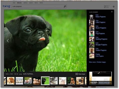 Bing añade un nuevo visor de imágenes más moderno y sencillo