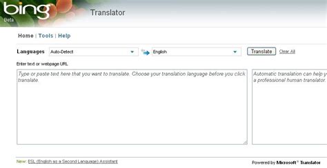 Bing Translator Images   Reverse Search