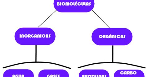 BioBlogger: Las Biomoleculas