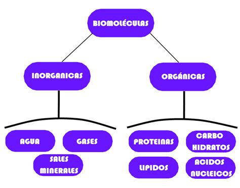BioBlogger: Las Biomoleculas