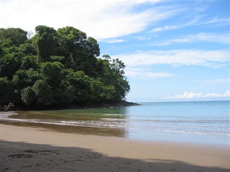 Biodiversidad de Costa Rica   Wikipedia, la enciclopedia libre