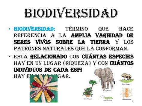 Biodiversidad y especies
