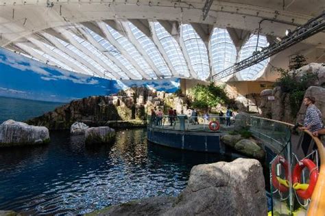 Biodome, Olympic Park