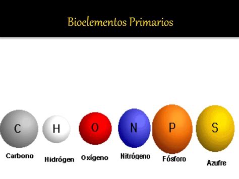 Bioelementos 10
