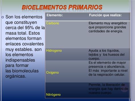 Bioelementos en el cuerpo humano