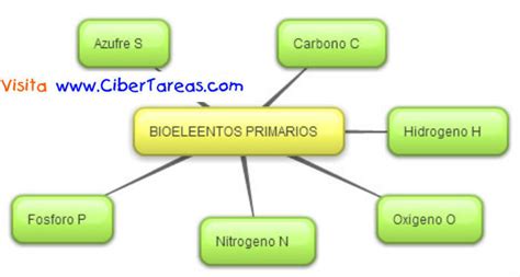 Bioelementos Primarios – Mapa Mental | CiberTareas