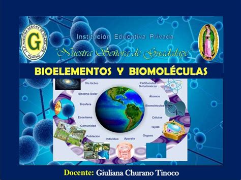 Bioelementos y biomoléculas inorgánicas
