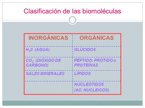 Bioelementos y Biomoléculas   ppt descargar