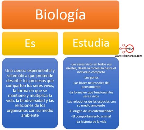 Biología como ciencia – Biología 1 | CiberTareas
