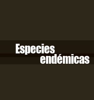 BIOLOGIA: ESPECIES ENDEMICAS EN MEXICO